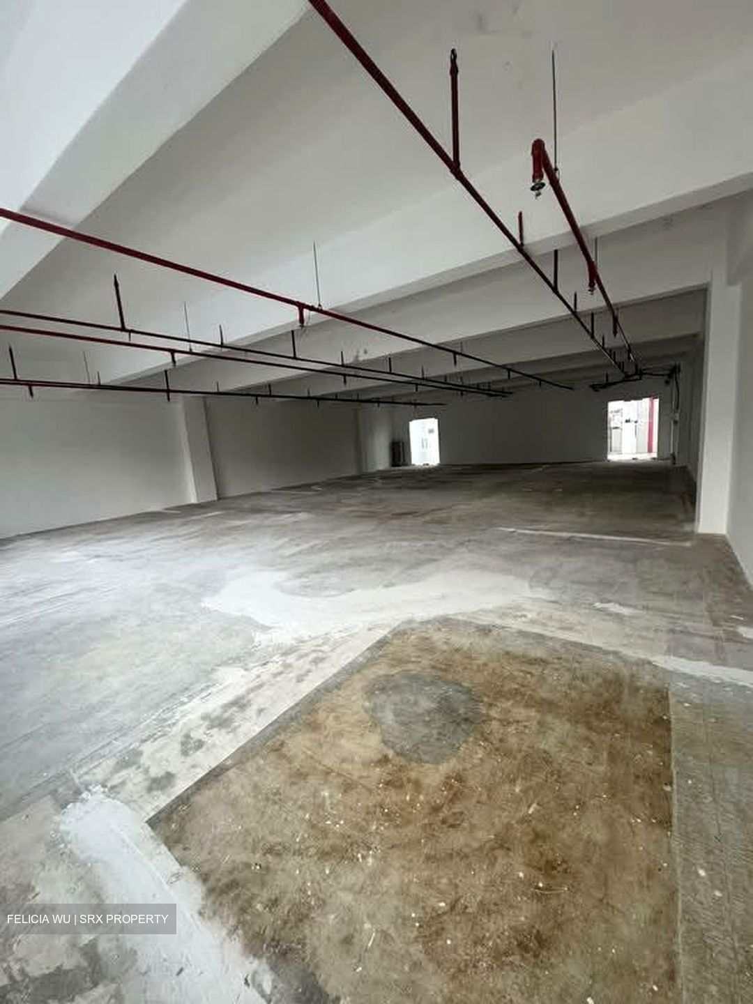 Thye Hong Centre (D3), Factory #554782421
